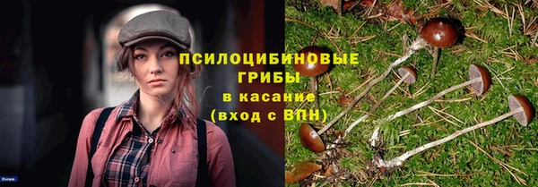 гидропоника Верхний Тагил