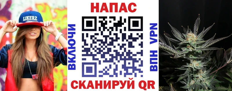 Канабис SATIVA & INDICA  Шлиссельбург 